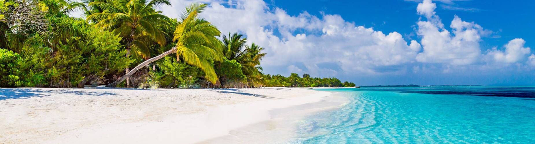 Cruises to the Bahamas