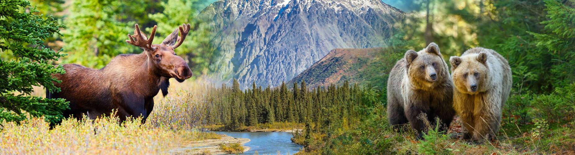 Alaska
