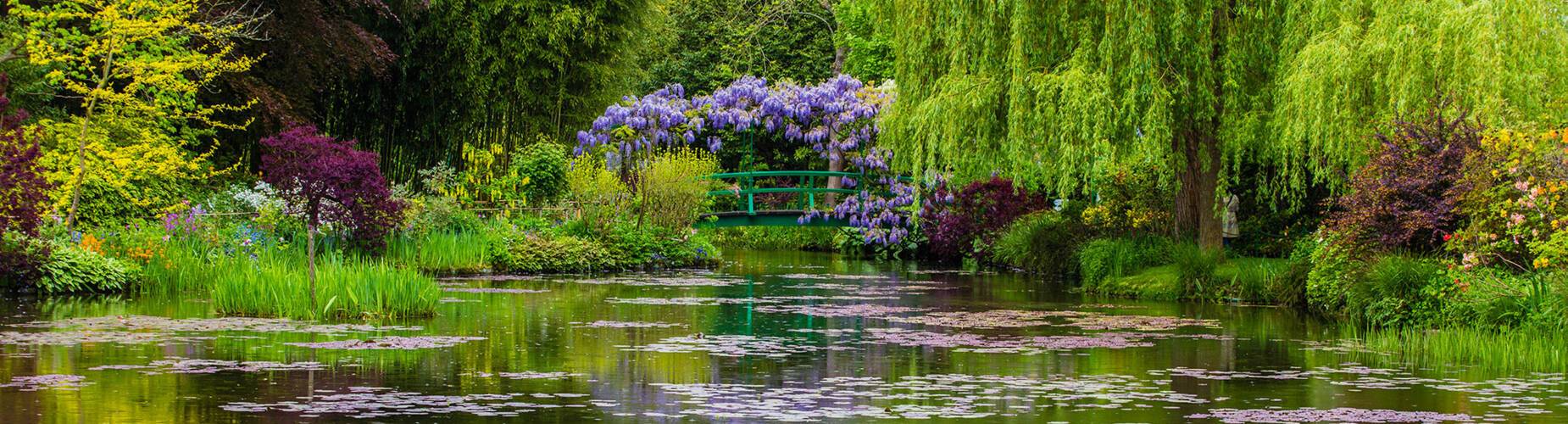 A garden in Giverny