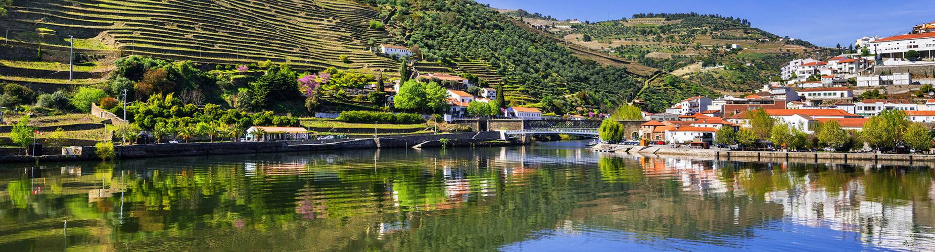 A panoramic view of Pinhão