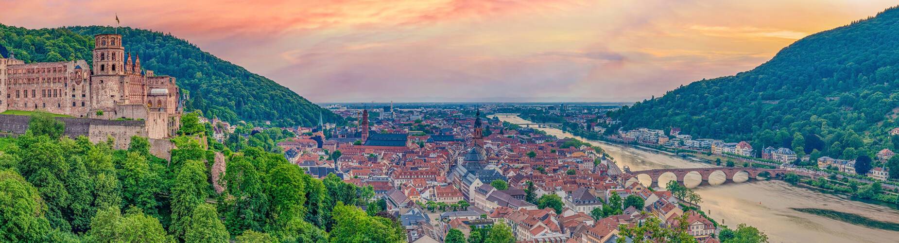 A panoramic view of Mannheim