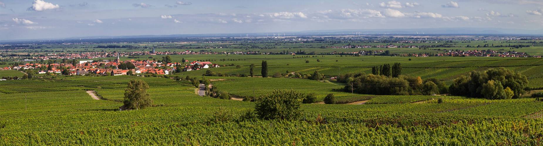 A panoramic view of Roth