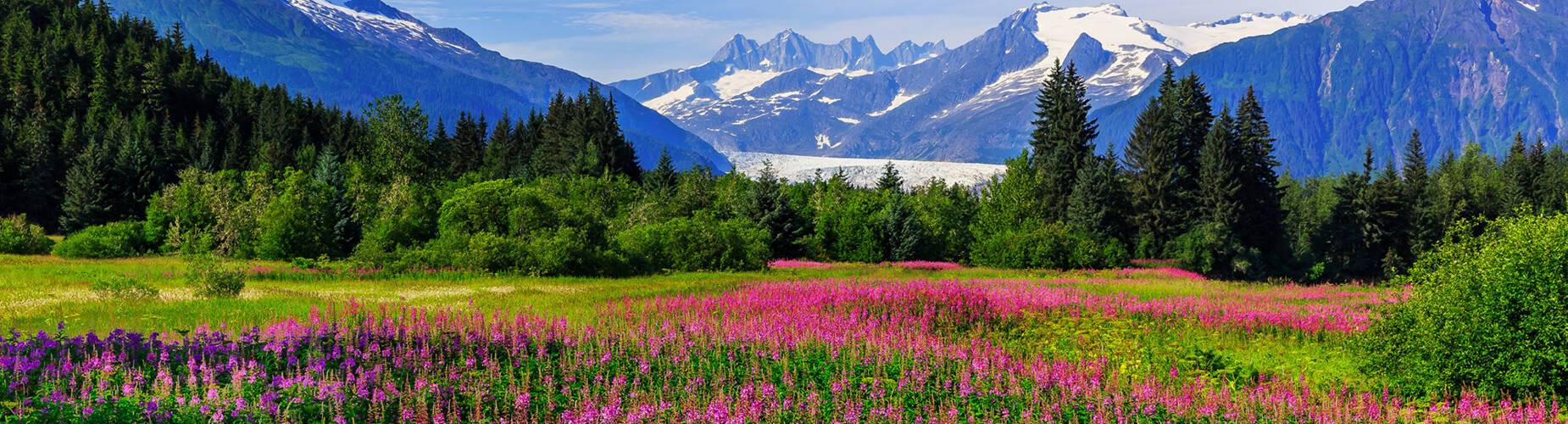 A panoramic view of Juneau