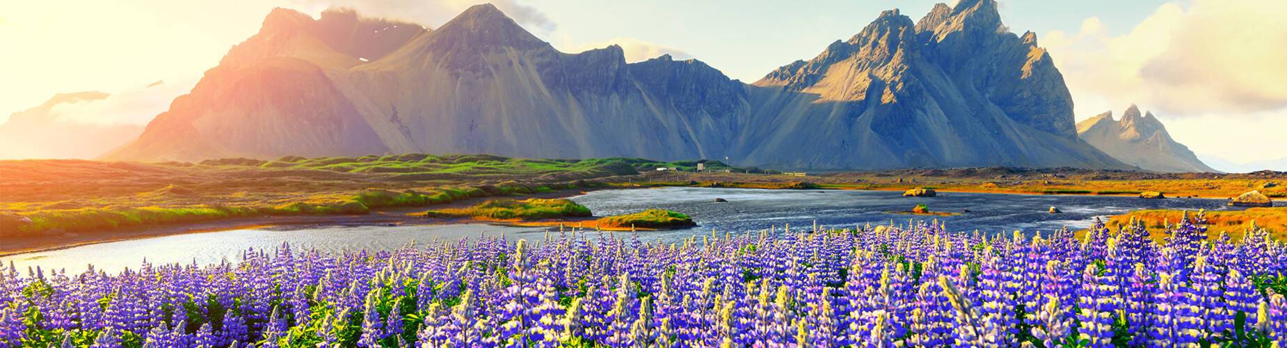 Cruises to Iceland