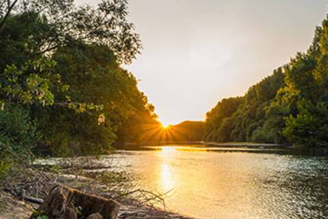 The Rhine River at Germersheim