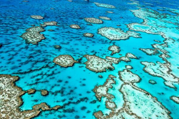 Great Barrier Reef
