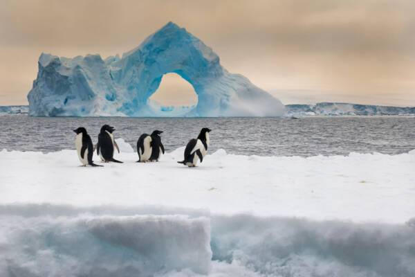 Antarctica