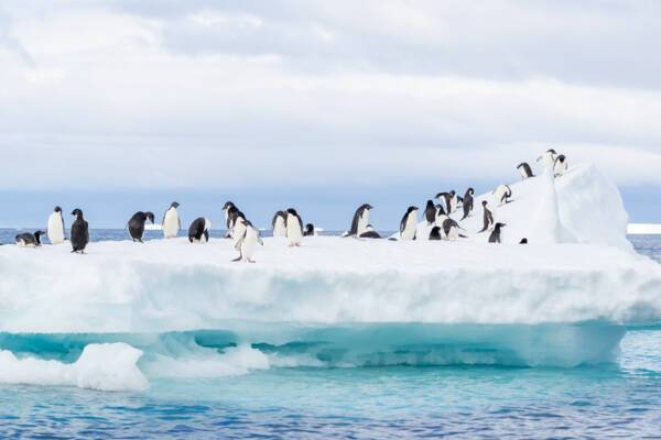 Antarctica