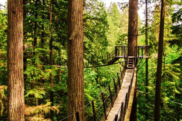 Capilano Suspension Bridge