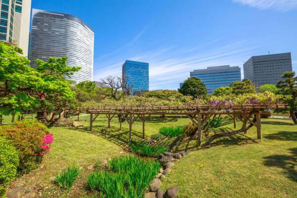 Hamarikyu Garden, Tokyo, Japan