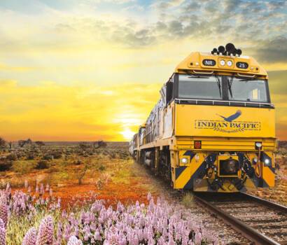 Indian Pacific Train