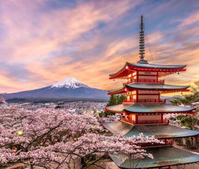 Tokyo in Springtime