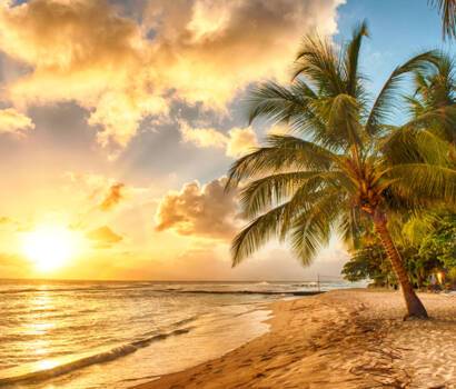 Caribbean